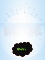 Phân tích chiến lược marketing của TH True End