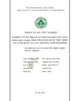 Nghiên cứu kỹ thuật cứu hộ loài rùa núi vàng indotestudo elongata blyth 1853 đang được thực hiện tại vườn quốc gia cúc phương tỉnh ninh bình 