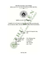 Nghiên cứu kỹ thuật nuôi vịt trời anas poecilorhyncha tại xã hoàng phúc huyện hoàng hóa tỉnh thanh hóa 