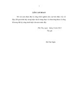 Giải pháp thực hiện chương trình xây dựng nông thôn mới trên địa bàn huyện cẩm khê tỉnh phú thọ 