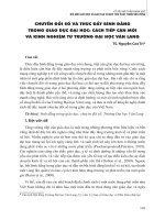 Chuyển đổi số và thúc đẩy bình đẳng trong giáo dục đại học: Cách tiếp cận mới và kinh nghiệm từ trường Đại học Văn Lang