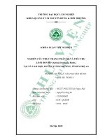 Nghiên cứu thực trạng phân bố và tiêu thụ loài bon bo alpinia bracteata roxb tại xã tam hợp huyện tương dương tỉnh nghệ an 