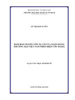 Luận văn Thạc sĩ Kinh tế: Đảm bảo nguồn vốn tự có của ngân hàng thương mại Việt Nam theo hiệp ước Basel
