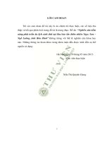 Nghiên cứu tiềm năng phát triển du lịch sinh thái tại khu bảo tồn thiên nhiên ngọc sơn ngổ luông tỉnh hòa bình 