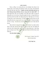 Nghiên cứu một số đặc điểm sinh học của nấm thượng hoàng phellinus linteus trong nuôi cấy thuần khiết 