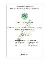 Nghiên cứu đề xuất giải pháp các loài côn trùng có khả năng làm thực phẩm tại vườn quốc gia ba vì 