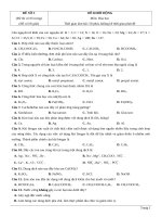Đề thi thử TN THPT 2021   môn hóa   bộ đề theo mức độ   GV ĐHSP   đề 5   file word có lời giải 
