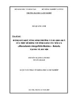 Đánh giá khả năng sinh trưởng và ra hoa của một số dòng vô tính loài cây mắc ca macadamia intergrifolia maiden betech tại ba vì hà nội 