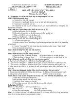 De kiem tra 45 phut Tuan 12 Tiet 45