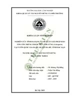 Nghiên cứu tính đa dạng và đề xuất giải pháp bảo tồn côn trùng cánh cứng coleoptera tại VQG ba bể huyện ba bể tỉnh bắc kạn 