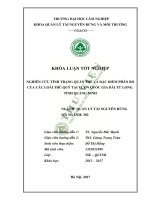 Điều tra đánh giá thực trạng các loài nguy cấp quý hiếm làm căn cứ xây dựng kế hoạch quản lý bảo tồn đa dạng sinh học vườn quốc gia bái tử long 