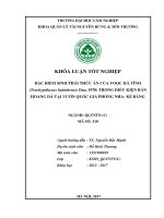 Đặc điểm sinh thái thức ăn của loài c trachypithecus hatinhensis dao 1970 trong điều kiện bán hoang dã tại vườn quốc gia phong nha kẻ bàng tỉnh quảng bình 