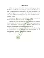 Nghiên cứu ảnh hưởng của độ dốc đến tốc độ lan tràn của đám cháy rừng 