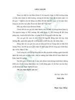 Nghiên cứu tác động của biến đổi khí hậu lên nguy cơ và mùa cháy rừng tại các khu vực phía nam trên lãnh thổ việt nam 