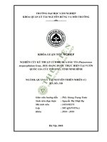 Nghiên cứu kỹ thuật cứu hộ rùa đầu to platysternon megacephalum gray 1831 đang được thực hiện tại vườn quốc gia cúc phương tỉnh ninh bình 
