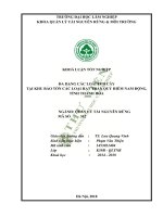 Đa dạng các loài ếch cây tại khu bảo tồn các loại hạt trần quý hiếm nam động tỉnh thanh hóa 