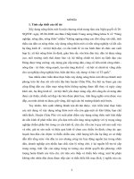 Thực hiện chính sách xây dựng nông thôn mới trên địa bàn huyện châu phú, tỉnh an giang 