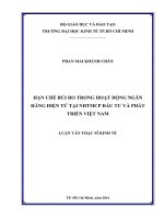 Luận văn Thạc sĩ Tài chính ngân hàng: Hạn chế rủi ro trong hoạt động Ngân hàng điện tử tại NHTM CP Đầu tư và Phát triển Việt Nam
