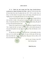 Đánh giá sinh trưởng loài mạy sang dendrocalamuss membranaceus munro tại huyện yên châu sơn la 