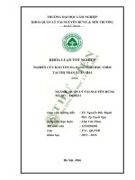 Nghiên cứu bảo tồn đa dạng sinh học chim tại thị trấn xuân mai 