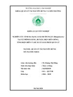 Nghiên cứu tính đa dạng loài bướm ngày rhopalocera tại xã phình giàng huyện điện biên đông tỉnh điện biên và đề xuất giải pháp quản lý 