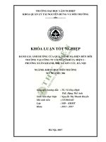 Đánh giá ảnh hưởng của quá trình mạ điện đến môi trường tại công ty cổ phần khí cụ điện 1 phường xuân khanh thị xã sơn tây hà nội 