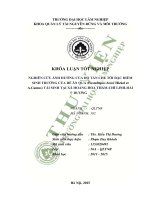 Nghiên cứu ảnh hưởng của độ tàn che tới đặc điểm sinh trưởng của dẻ ăn quả castanopsis boisii hickel et a camus tái sinh tại xã hoàng hoa thám chí linh hải dương 