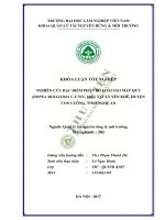 Nghiên cứu đặc điểm phân bố loài sao mặt quỷ hopea mollissima c y wu 1957 tại xã yên khê huyện con cuông tỉnh nghệ an 