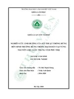 Nghiên cứu ảnh hưởng của kỹ thuật trồng rừng đến sinh trưởng rừng trồng bạch đàn tại vùng nguyên liệu giấy trung tâm phú thọ 