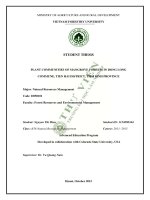 Plant communities of mangrove forests in dong long cummune tien hai district thai binh province 