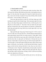 Thực hiện chính sách giảm nghèo bền vững trên địa bàn quận 11, thành phố hồ chí minh 