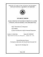 Characteristics of mangrove forests in nam phu commune tien hai district thai binh province 