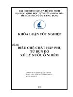 KHÓA LUẬN TỐT NGHIỆP Đề tài: ĐIỀU CHẾ CHẤT HẤP PHỤ TỪ BÙN ĐỎ XỬ LÝ NƯỚC Ô NHIỄM
