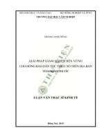 Giải pháp giảm nghèo bền vững cho đồng bào dân tộc thiểu số trên địa bàn tỉnh bình phước 