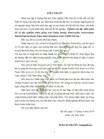 Nghiên cứu đặc điểm phân bố và thử nghiệm nhân giống loài giáng hương pterocarpus macrocarpus kurz từ hạt tại huyện pakse tỉnh champasac nước CHDCND lào 