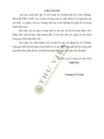 Nghiên cứu sử dụng muối sắt fe NO3 3 cho quá trình oxi hoá nâng cao loại bỏ phẩm màu 
