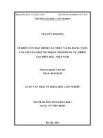 Nghiên cứu đặc điểm cấu trúc và đa dạng tầng cây gỗ của một số trạng thái rừng tự nhiên tại miền bắc việt nam 