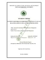 Payment for forest environment services at lao cai realities difficulties and recommendations 