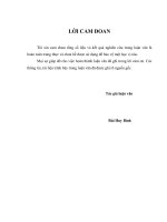 Nghiên cứu đề xuất giải pháp công trình bảo vệ bờ phù hợp cho khu vực sông cửu long và sông sài gòn   đồng nai  