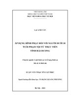 Luận văn tội hiếp dâm từ thực tiễn thành phố hà nội 