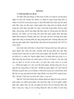 Thực hiện chính sách giảm nghèo bền vững trên địa bàn huyện châu thành, tỉnh an giang 