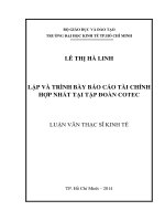 Luận văn thạc sĩ lập và trình bày báo cáo tài chính hợp nhất tại tập đoàn COTEC 
