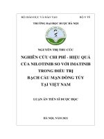Luận án Tiến sĩ Dược học Nghiên cứu chi phí  hiệu quả của nilotinib so với imatinib trong điều trị bạch cầu mạn dòng tủy tại Việt Nam