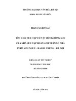 Tìm hiểu sưu tập cổ vật đồng đông sơn của nhà sưu tập đoàn anh tuấn số nhà 27 433 kim ngưu hai bà trưng hà nội 