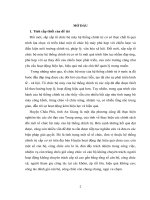 Thực hiện chính sách đổi mới, sắp xếp bộ máy hệ thống chính trị cơ sở trên địa bàn huyện châu phú, tỉnh an giang 