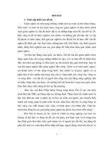 Thực hiện chính sách giảm nghèo bền vững ở huyện phú tân, tỉnh an giang 