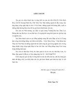 Nghiên cứu giải pháp gia cố nền đập xà lan trong điều kiện địa chất yếu  luận văn thạc sỹ kỹ thuật chuyên ngành xây dựng công trình thủy 60 58 4 