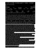 CAY LUOC VANG QUY NHU VANG