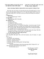 mau bao cao to chuc 83