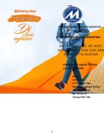 Phân tích hoạt động Marketing của Bitis Hunter